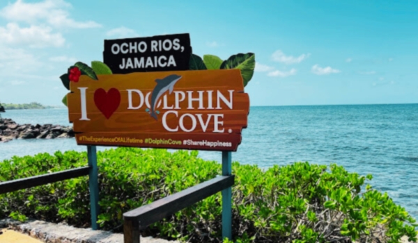 dolphin cove ocho rios cruise port