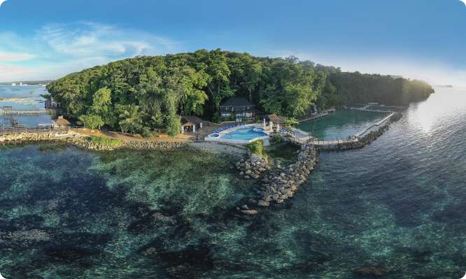Embrace Nature’s Beauty at Dolphin Cove Jamaica