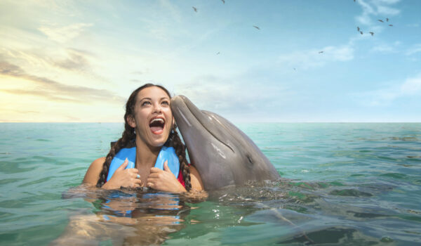 Swim with dolphins in negril jamaica