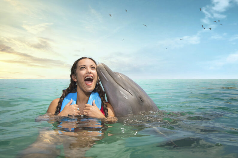 Swim with dolphins in negril jamaica