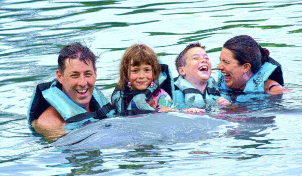 family swim with dolphins in ocho rios jamaica
